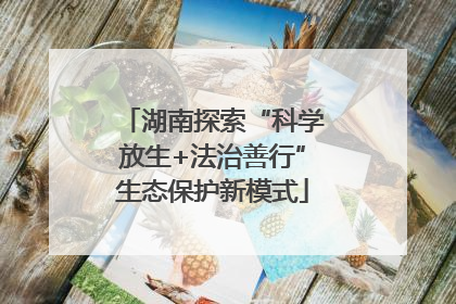 湖南探索“科学放生+法治善行”生态保护新模式