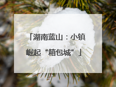 湖南蓝山：小镇崛起“箱包城”