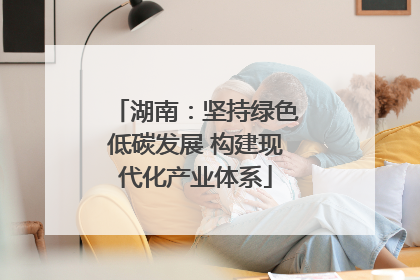 湖南：坚持绿色低碳发展 构建现代化产业体系