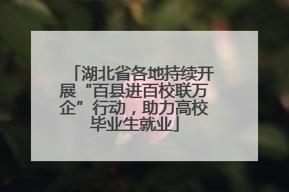 湖北省各地持续开展“百县进百校联万企”行动，助力高校毕业生就业
