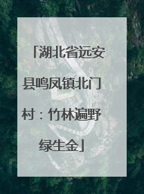 湖北省远安县鸣凤镇北门村：竹林遍野绿生金