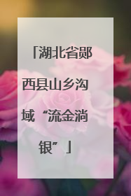 湖北省郧西县山乡沟域“流金淌银”