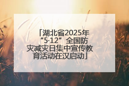 湖北省2025年“5·12”全国防灾减灾日集中宣传教育活动在汉启动