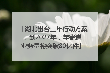 湖北出台三年行动方案，到2027年，年寄递业务量将突破80亿件