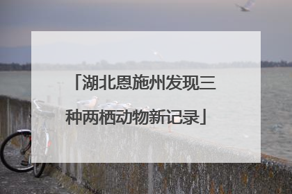 湖北恩施州发现三种两栖动物新记录