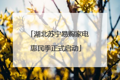 湖北苏宁易购家电惠民季正式启动