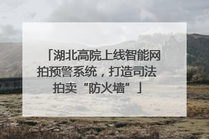 湖北高院上线智能网拍预警系统，打造司法拍卖“防火墙”