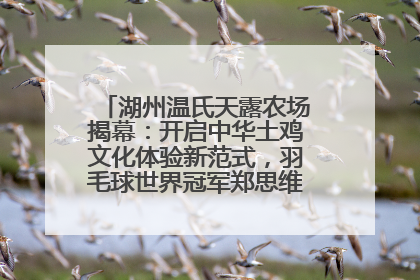 湖州温氏天露农场揭幕：开启中华土鸡文化体验新范式，羽毛球世界冠军郑思维助力品牌兴农