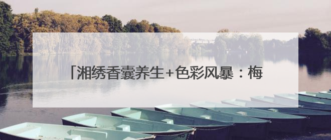 湘绣香囊养生+色彩风暴：梅溪湖艺术博物馆文化体验盛宴