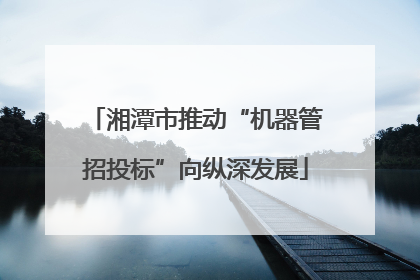 湘潭市推动“机器管招投标”向纵深发展