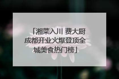 湘菜入川 费大厨成都开业火爆登顶全城美食热门榜