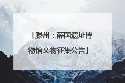 滕州：薛国遗址博物馆文物征集公告
