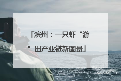 滨州：一只虾“游”出产业链新图景