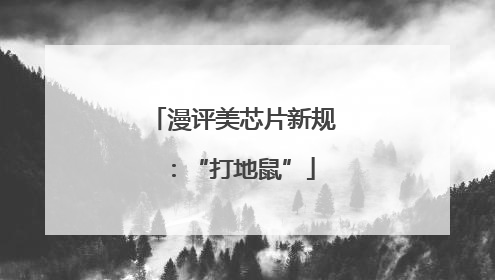 漫评美芯片新规：“打地鼠”