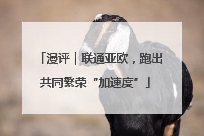 漫评｜联通亚欧，跑出共同繁荣“加速度”