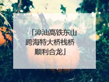 漳汕高铁东山跨海特大桥栈桥顺利合龙