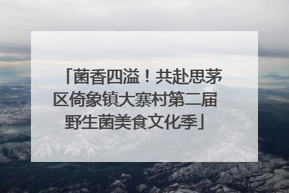 菌香四溢！共赴思茅区倚象镇大寨村第二届野生菌美食文化季