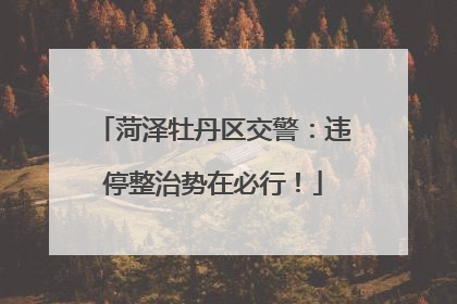 菏泽牡丹区交警：违停整治势在必行！