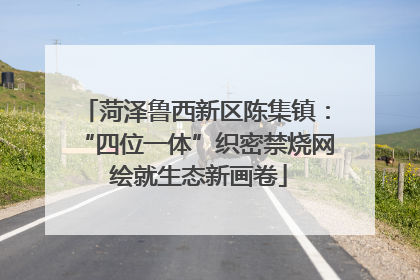 菏泽鲁西新区陈集镇：“四位一体”织密禁烧网 绘就生态新画卷