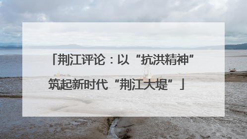 荆江评论：以“抗洪精神”筑起新时代“荆江大堤”