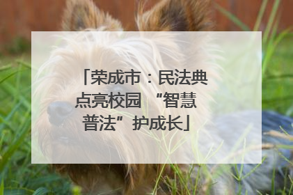 荣成市：民法典点亮校园 “智慧普法”护成长