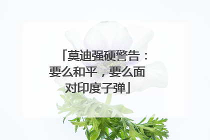莫迪强硬警告：要么和平，要么面对印度子弹