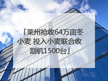 莱州抢收64万亩冬小麦 投入小麦联合收割机1500台