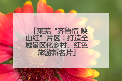 莱芜“齐鲁情 映山红”片区：打造全域景区化乡村、红色旅游新名片