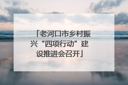 老河口市乡村振兴“四项行动”建设推进会召开