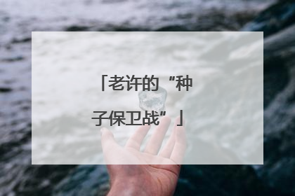 老许的“种子保卫战”