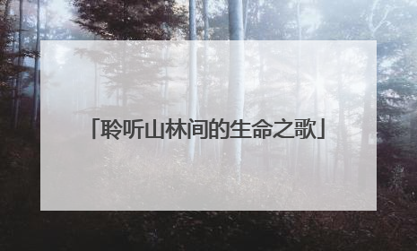 聆听山林间的生命之歌