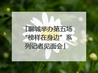 聊城举办第五场“榜样在身边”系列记者见面会