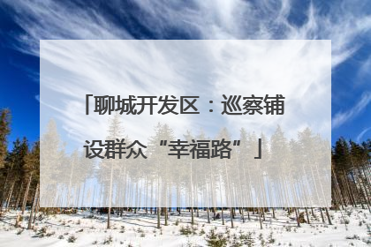 聊城开发区：巡察铺设群众“幸福路”