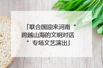 联合国迎来河南“跨越山海的文明对话”专场文艺演出