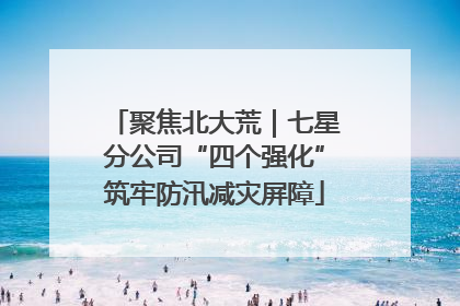 聚焦北大荒｜七星分公司“四个强化”筑牢防汛减灾屏障