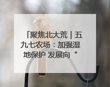 聚焦北大荒｜五九七农场：加强湿地保护 发展向“绿”而行