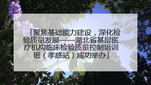 聚焦基础能力建设，深化检验质量发展——湖北省基层医疗机构临床检验质量控制培训班（孝感站）成功举办