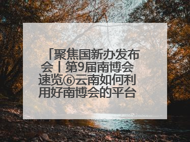 聚焦国新办发布会丨第9届南博会速览⑥云南如何利用好南博会的平台带动作用，深化与南亚国家的交流与合作？