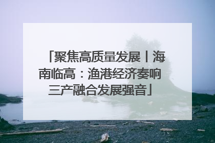 聚焦高质量发展丨海南临高：渔港经济奏响三产融合发展强音
