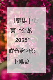聚焦｜中柬“金龙-2025”联合演习落下帷幕