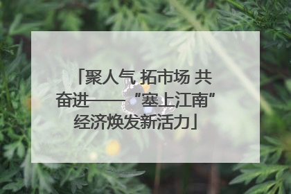 聚人气 拓市场 共奋进——“塞上江南”经济焕发新活力