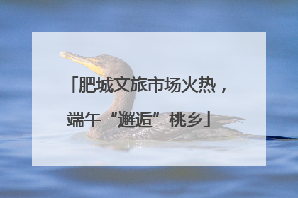 肥城文旅市场火热，端午“邂逅”桃乡