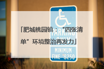肥城桃园镇：“四张清单”环境整治再发力