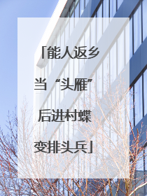 能人返乡当“头雁” 后进村蝶变排头兵