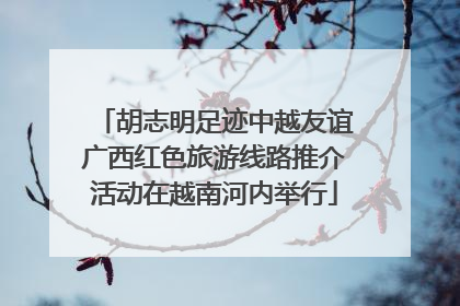 胡志明足迹中越友谊广西红色旅游线路推介活动在越南河内举行