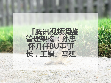 腾讯视频调整管理架构：孙忠怀升任BU董事长，王娟、马延琨任联席总裁