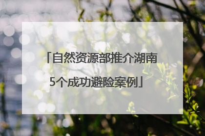 自然资源部推介湖南5个成功避险案例
