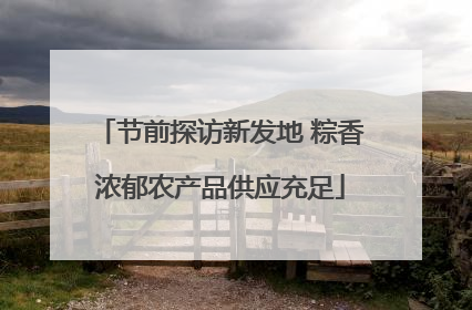 节前探访新发地 粽香浓郁农产品供应充足