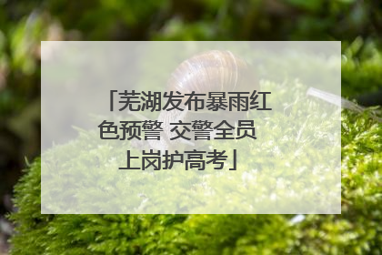 芜湖发布暴雨红色预警 交警全员上岗护高考