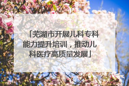 芜湖市开展儿科专科能力提升培训，推动儿科医疗高质量发展